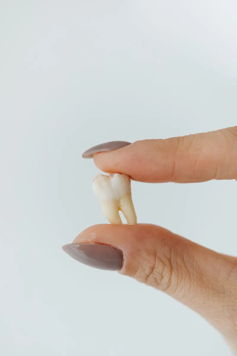 A single ceramic crown held between two fingers
